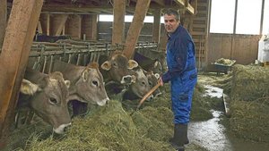 SMP-Kandidat Urs Wer SMP-Kandidat Urs Werder führt im Toggenburg einen Biobetrieb. Auf die Braune Rasse setzt er, weil es unproblematische und langlebige Kühe sind und weil er Freude an der Zucht hat.
