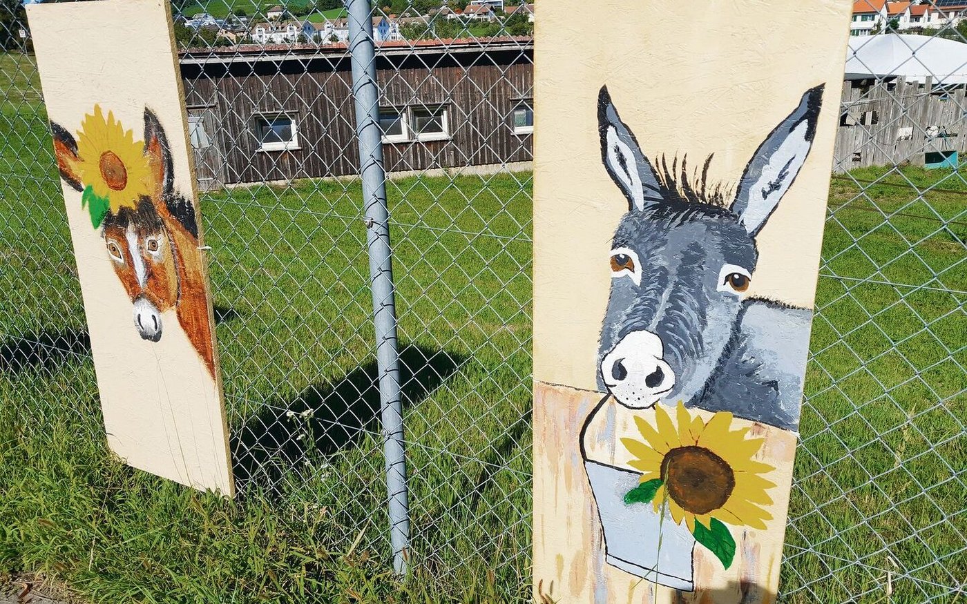 Das Eselgehege ist mit passenden, selbstgemalten Bildern geschmückt.