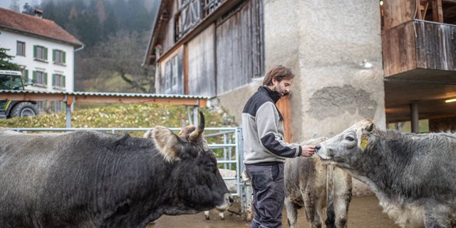 Für die Hoftötung rechnet Blunier mit einer Vor- und Nachbereitungszeit von drei Stunden. Bild: Matthias Nutt