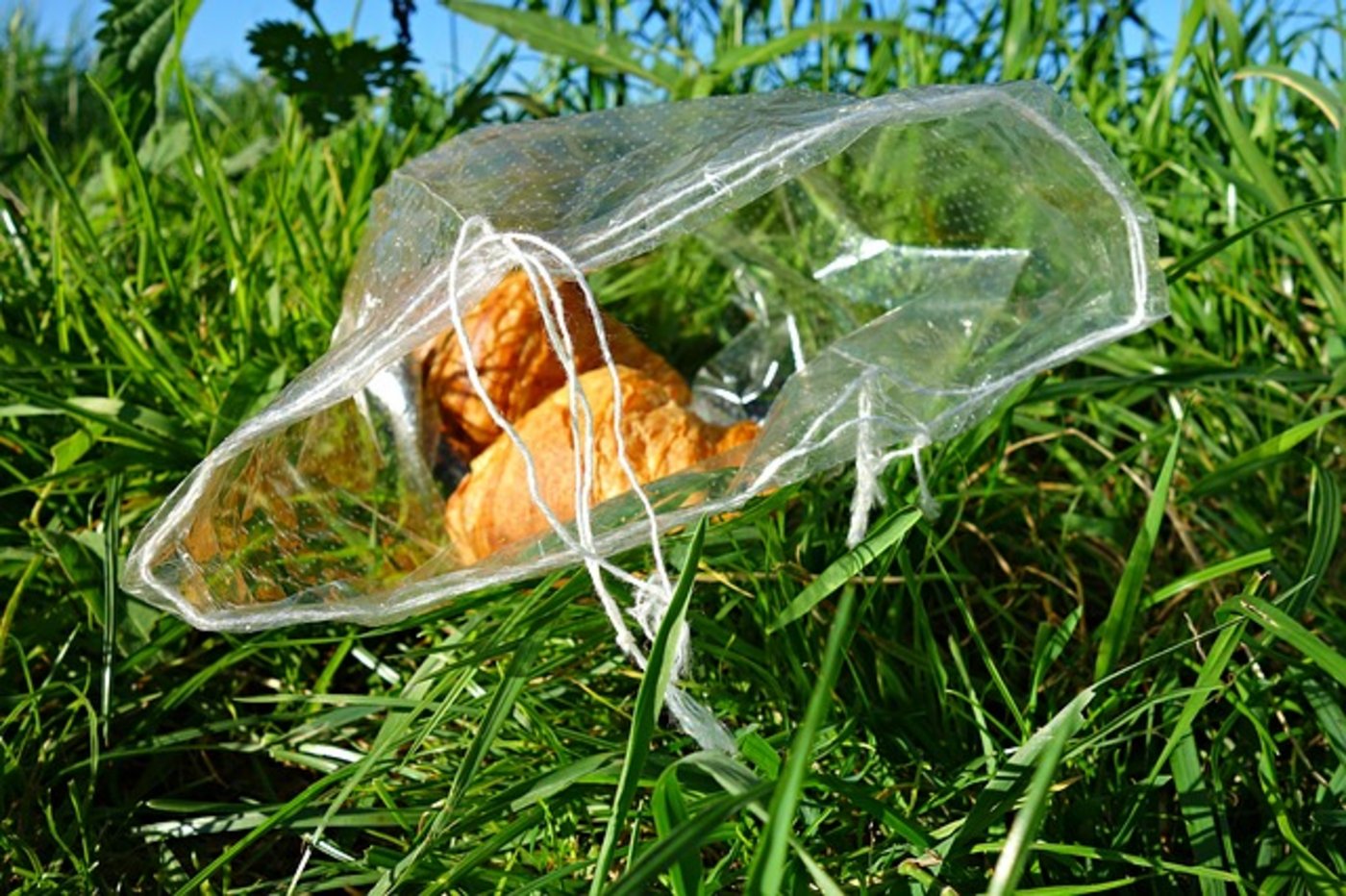 Besonders viel Müll erzeugten dünne Plastiktüte, heisst es vom Ministerium. (Bild pixabay)