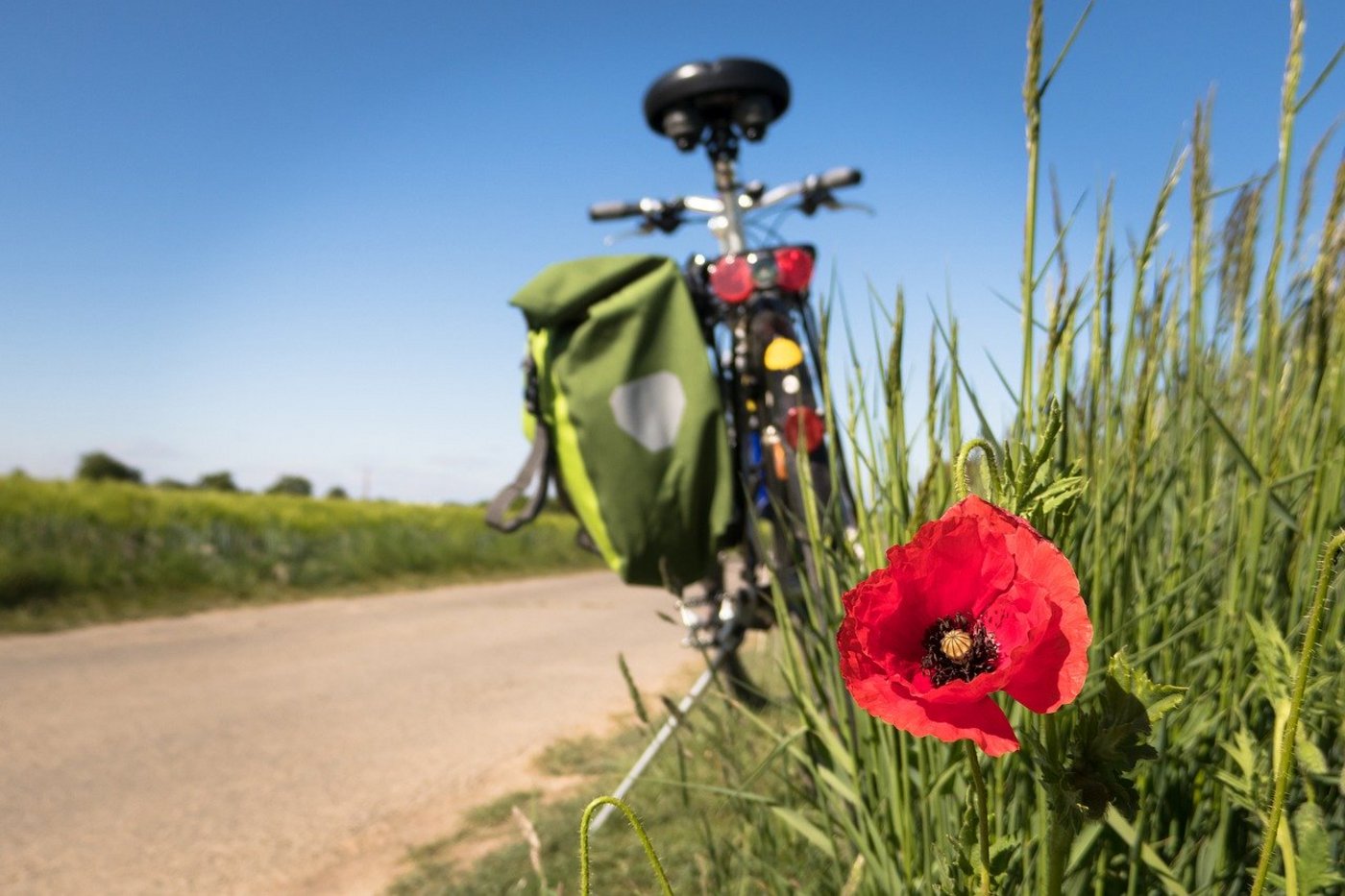 Die Idee der Regio-Challenge: Eine Woche lang essen, was in etwa der Entfernung einer Velotour (30 Kilometer) produziert worden ist. (Bild Pixabay)