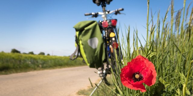 Die Idee der Regio-Challenge: Eine Woche lang essen, was in etwa der Entfernung einer Velotour (30 Kilometer) produziert worden ist. (Bild Pixabay)