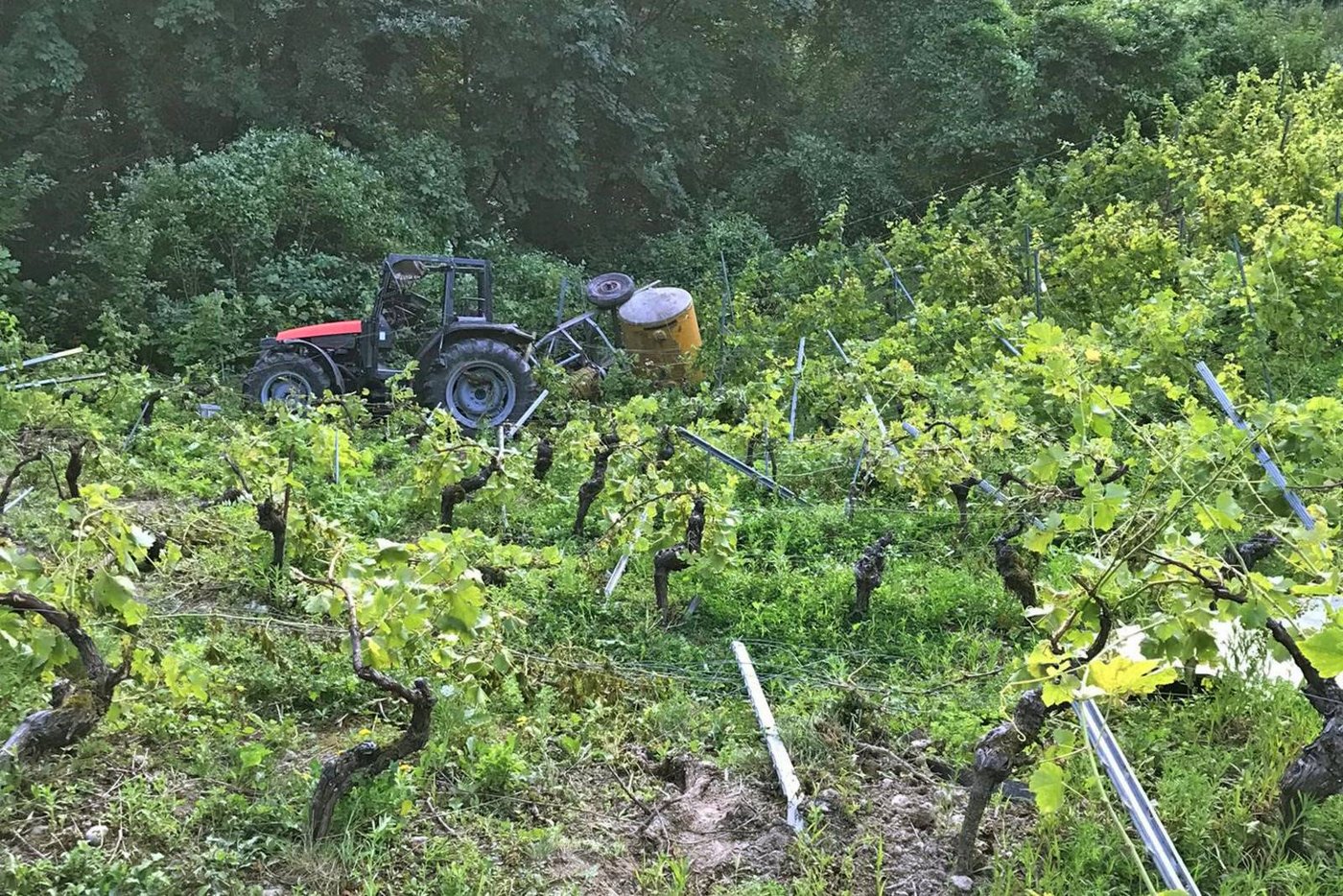 Beim Sturz wurde der Fahrer des Traktors aus dem Fahrzeug geschleudert. (Bild Kapo VD)