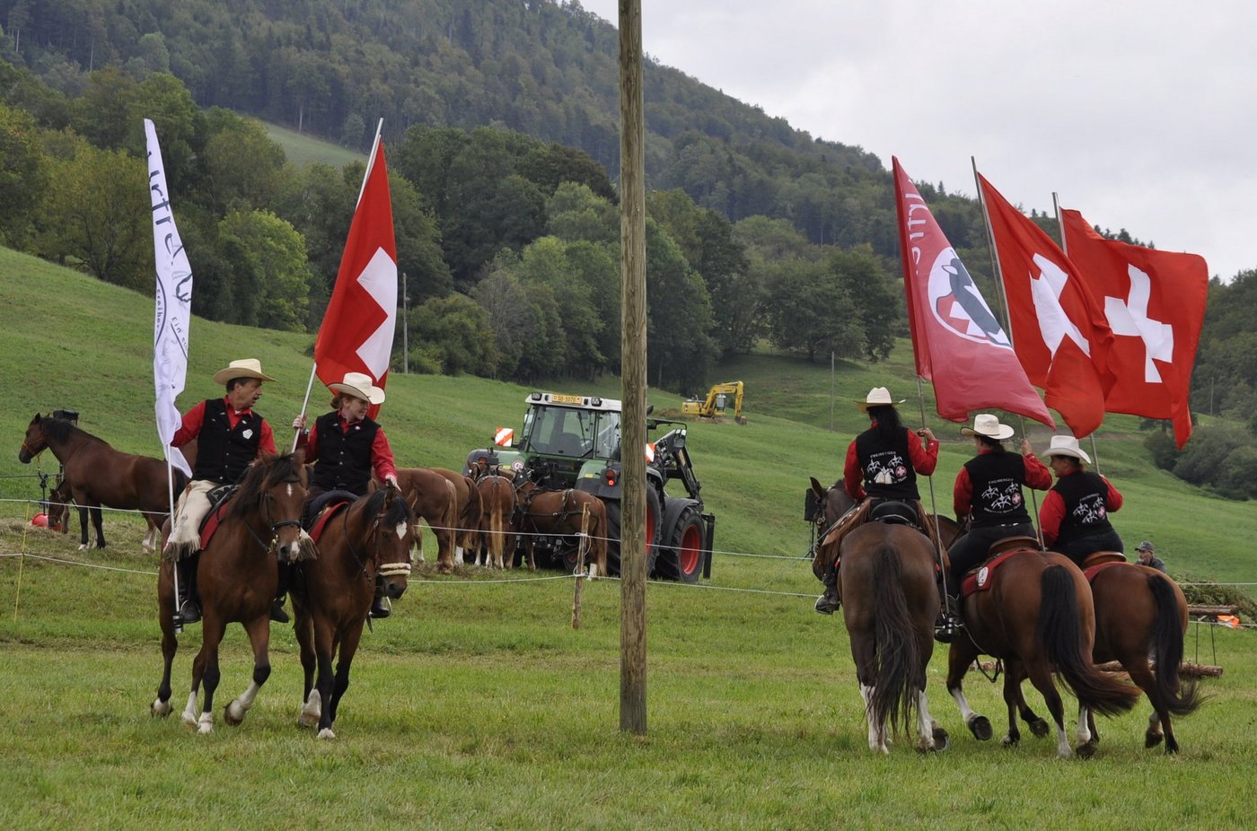 Der Freiberger ist die einzige noch existierende Schweizer Pferderasse. Ihre Urgenetik wurde am Samstag in Ramiswil gezeigt. (Bild Rolf Bleisch)