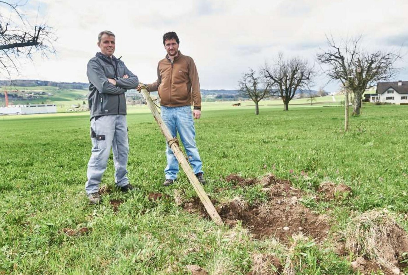 Andreas Kaufmann (r.) und Felix Pfenninger wollen den Obstbaum-Dieb stellen. Dazu setzen sie eine Fotofalle ein. (Bild Screenshot Blick)