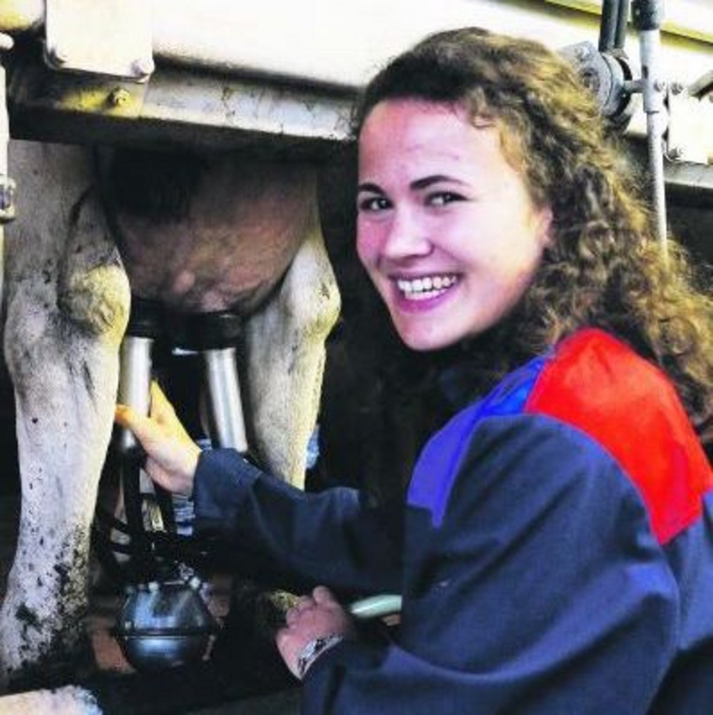 Geniesst die Arbeit mit den Kühen: Lucia Weingartner hilft ihrem Vater beim Melken. Das ist eine willkommene Abwechslung zur Kopfarbeit im Studium. (Bild Deborah Rentsch)
