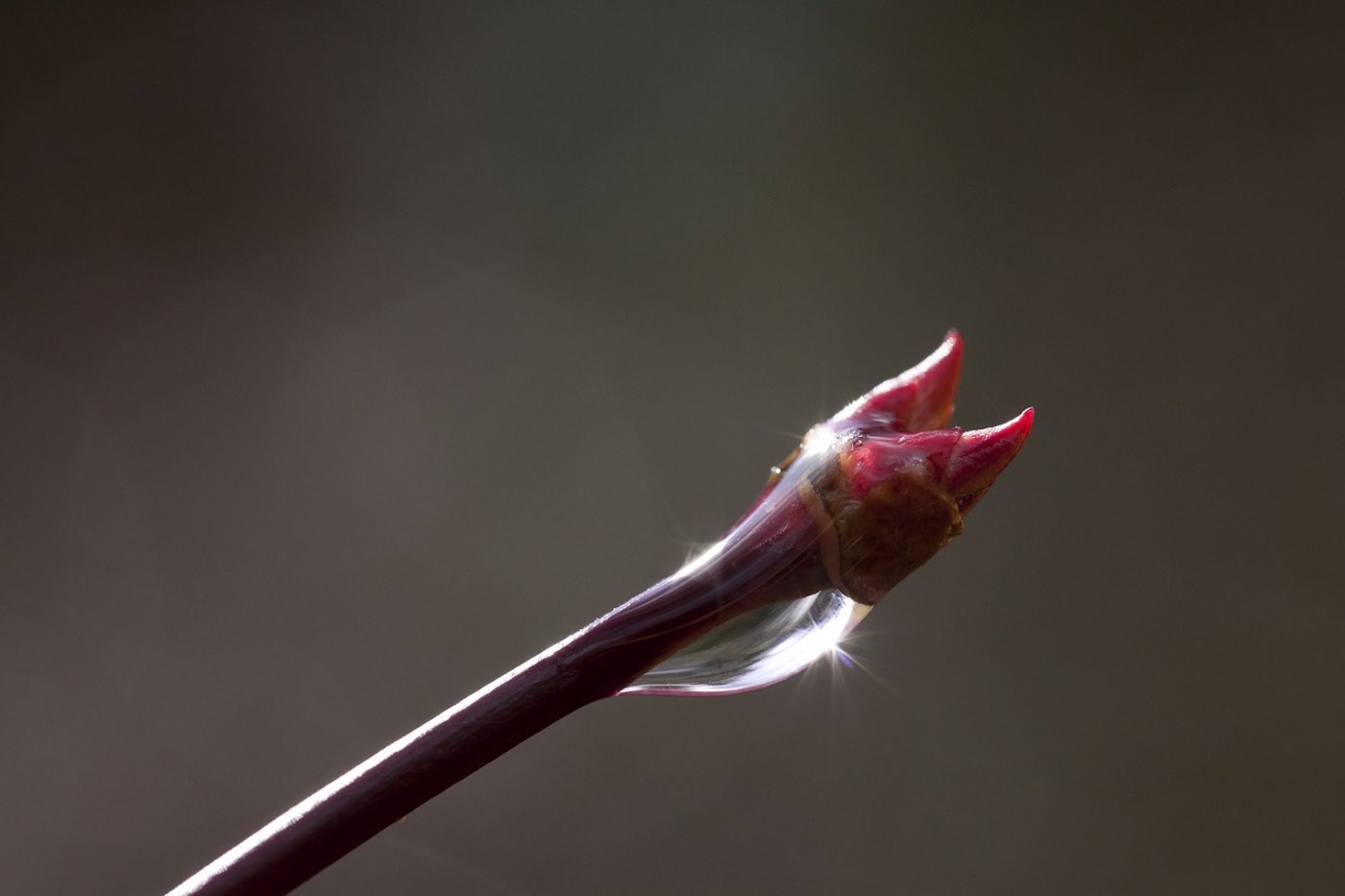 (Symbolbild Pixabay)