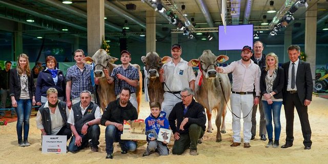 Grand Champion: Stuppan’s Gilberto Pilla, Georg Florin und Tönet Stuppan, Serneus (Mitte); Reserve-Grand-Champion: Langenhard’s Agio Aspen, Urs Hofer/Thomas und Jakob Kündig, Rikon im Tösstal (rechts) und Mention Honorable: Kaderli’s Glenn Gwendy, Erich Kaderli, Götighofen. (Bilder zVg)