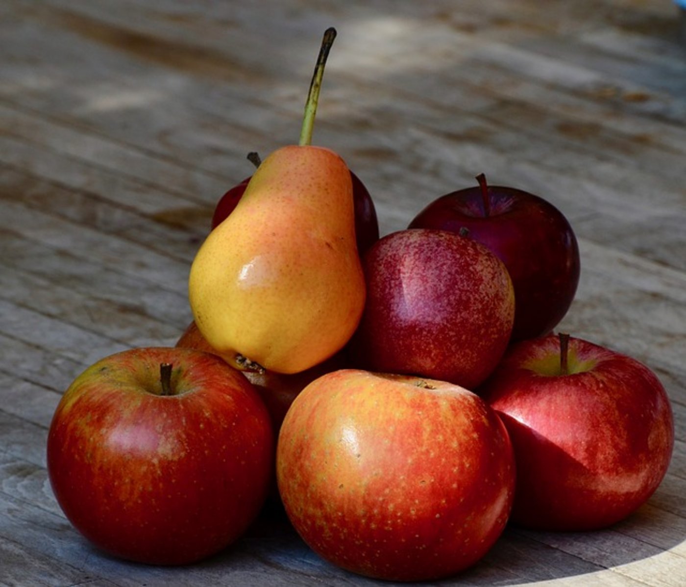 Die Ernten beim Kernobst sollen gut ausfallen. (Symbolbild Pixabay)