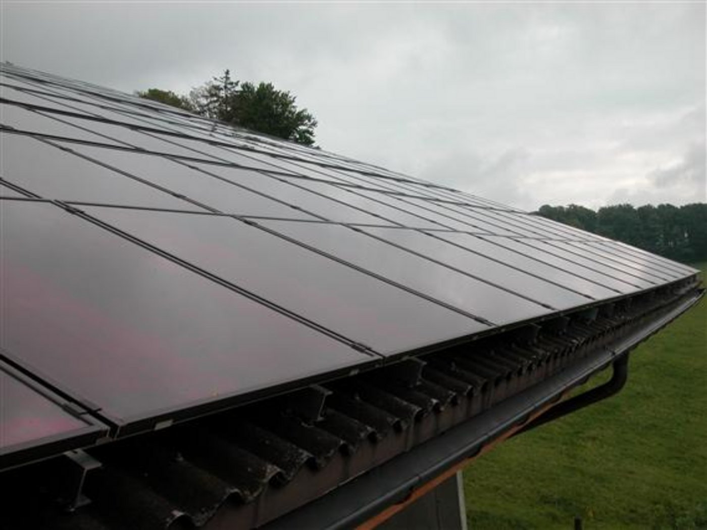 Das Bundesgericht hat entschieden, dass Swissgrid Transparenz schaffen muss. (Bild BauZ)