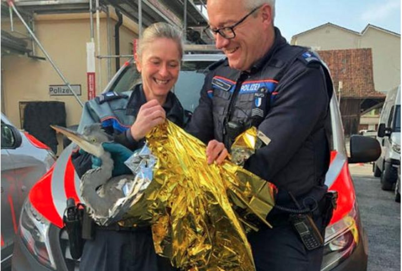 Die Luzerner Polizei hat den geschwächten und unterkühlten Fischreiher gerettet und der Vogelwarte Sempach übergeben. (Bild Luzerner Polizei)