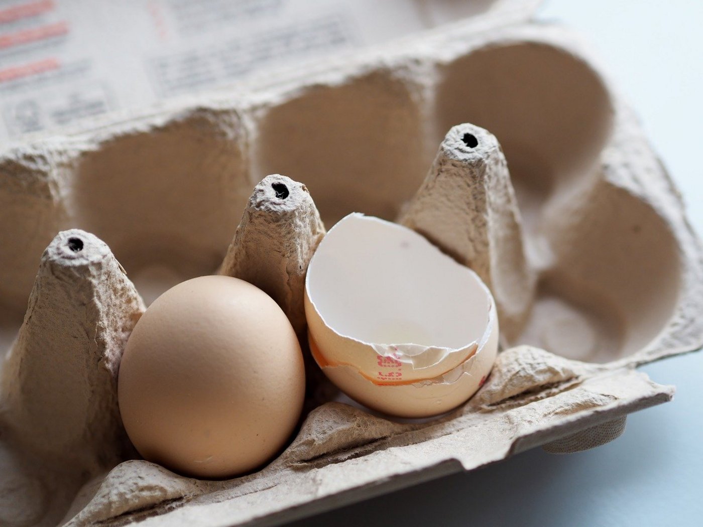 Männliche Henne-&-Hahn-Küken werden laut Aldi mit Bio-Futter sowie Zugang zu Weide und Sandbad aufgezogen. (Bild flockine/Pixabay)