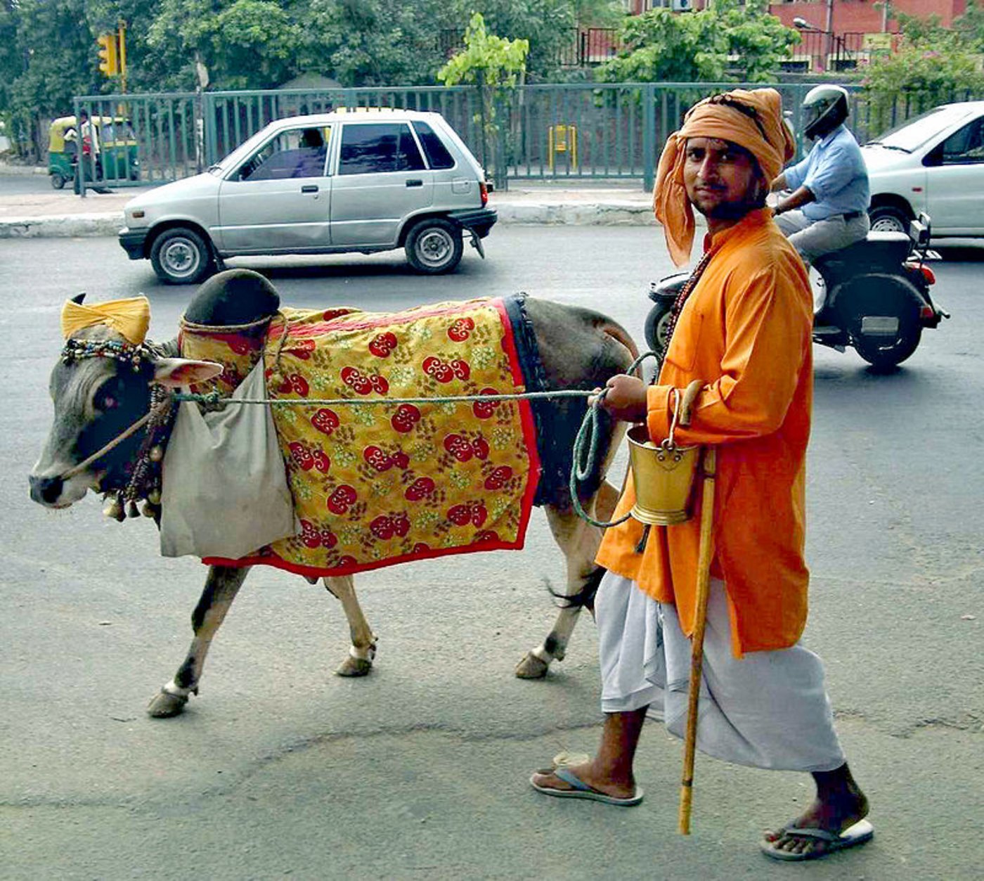In den hinduistischen Religionen ist der Schutz der Kuh bis in die heutige Zeit wichtig. Für die meisten Hindus ist die Kuh unantastbar (hier ein Bild aus Dehli). (Symbolbild John Hill)