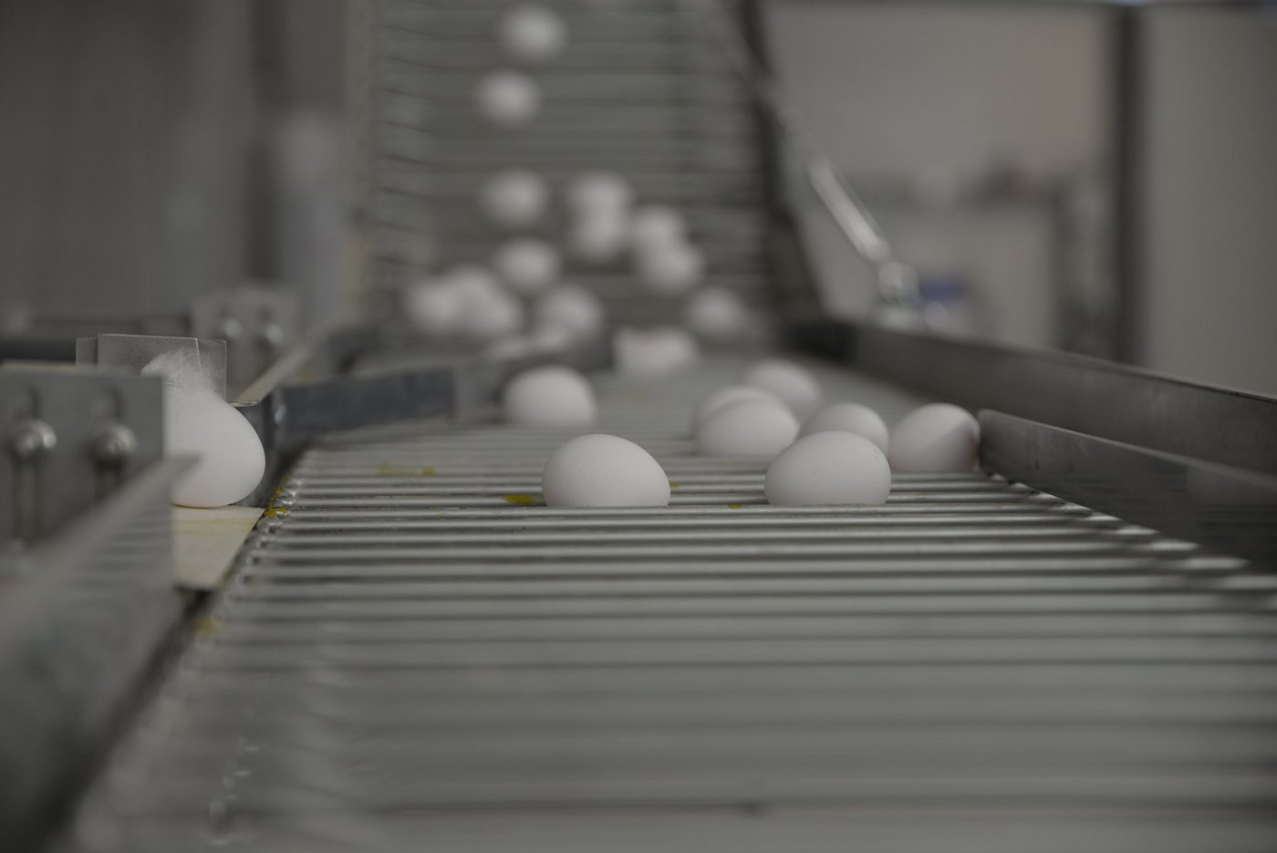 Die EU hat die Konsumenten im Skandal um Millionen Eier, die mit dem Insektenvernichtungsmittel Fipronil belastet sind, beschwichtigt. (Bild Aline Küenzi)