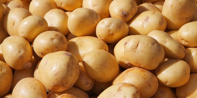 Das Wetter war zu Beginn der Kartoffel-Saison 2020 ein Auf und Ab für die Pflanzen. (Symbolbild Pixabay)