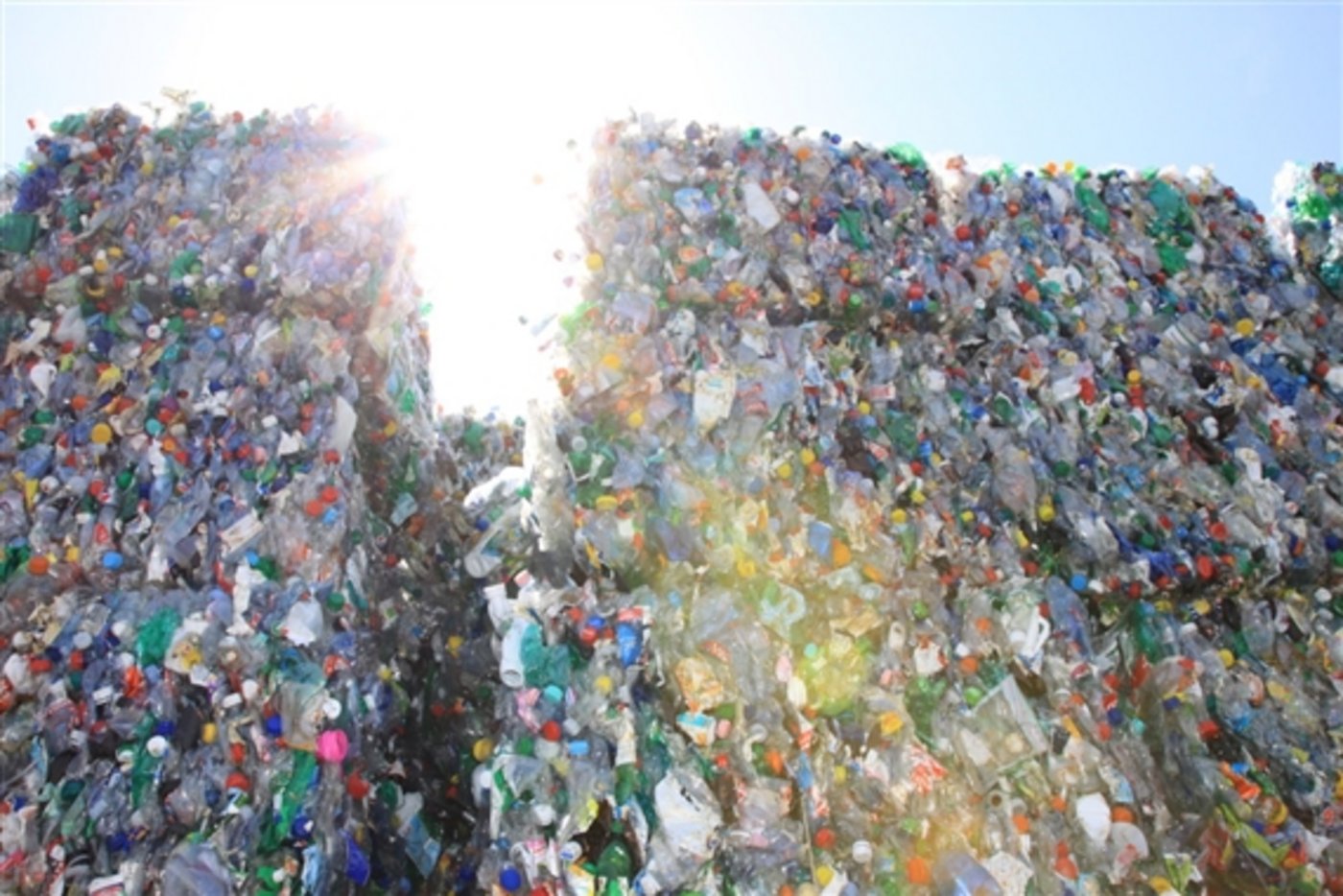 Das Enzym kann PET zersetzen. (Symbolbild Bild PET-Recycling Schweiz) 