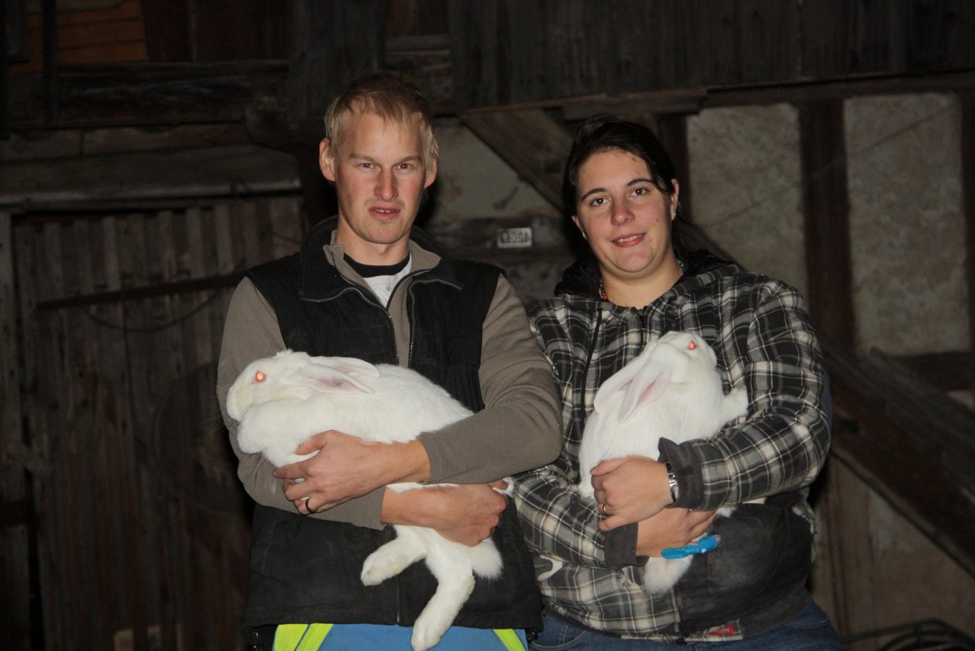 Die Kaninchenhaltung ist für Martina und Hansruedi Ryser-Schlup mehr als ein Hobby. (Bild aw) 