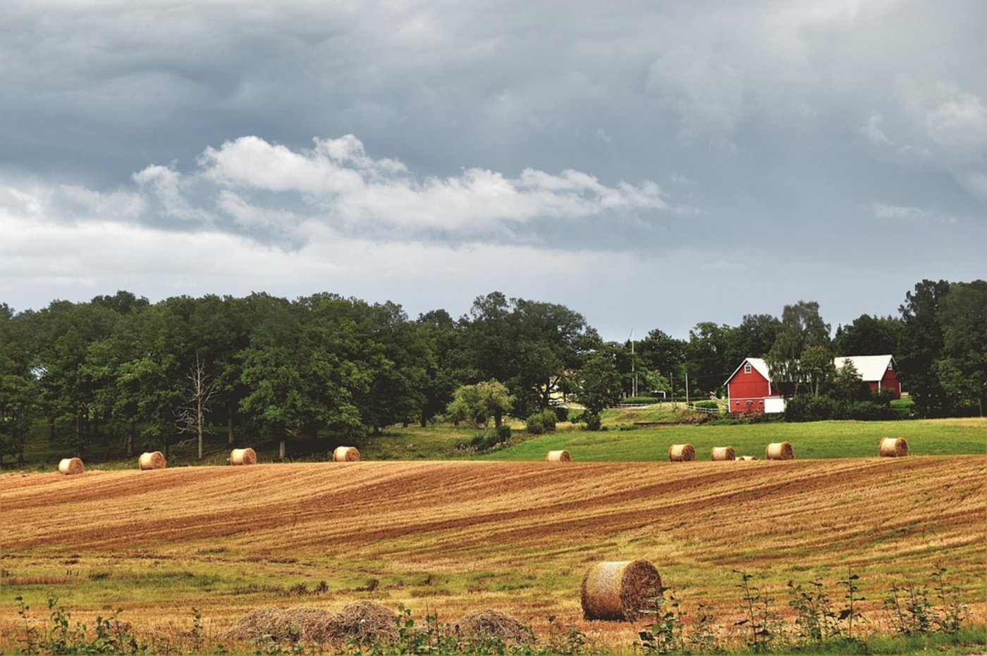 Abgeerntes Getreidefeld in Schweden. (Symbolbild Pixabay)