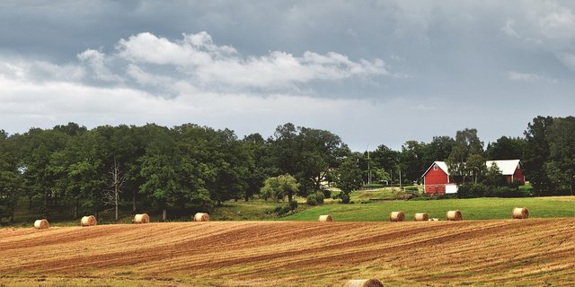 Abgeerntes Getreidefeld in Schweden. (Symbolbild Pixabay)