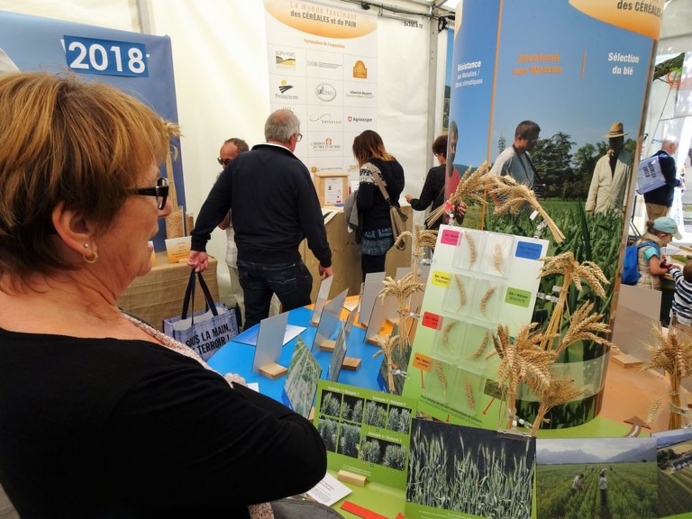 Eine Besucherin an der Ausstellung im Rahmen des Korn- und Brotfests in Echallens VD. (Bild mr)