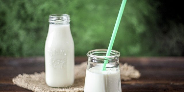Echte Milch ohne Kühe – das ist die Vision des Biotech-Start-Ups TurtleTree Labs. (Symbolbild Pixabay)