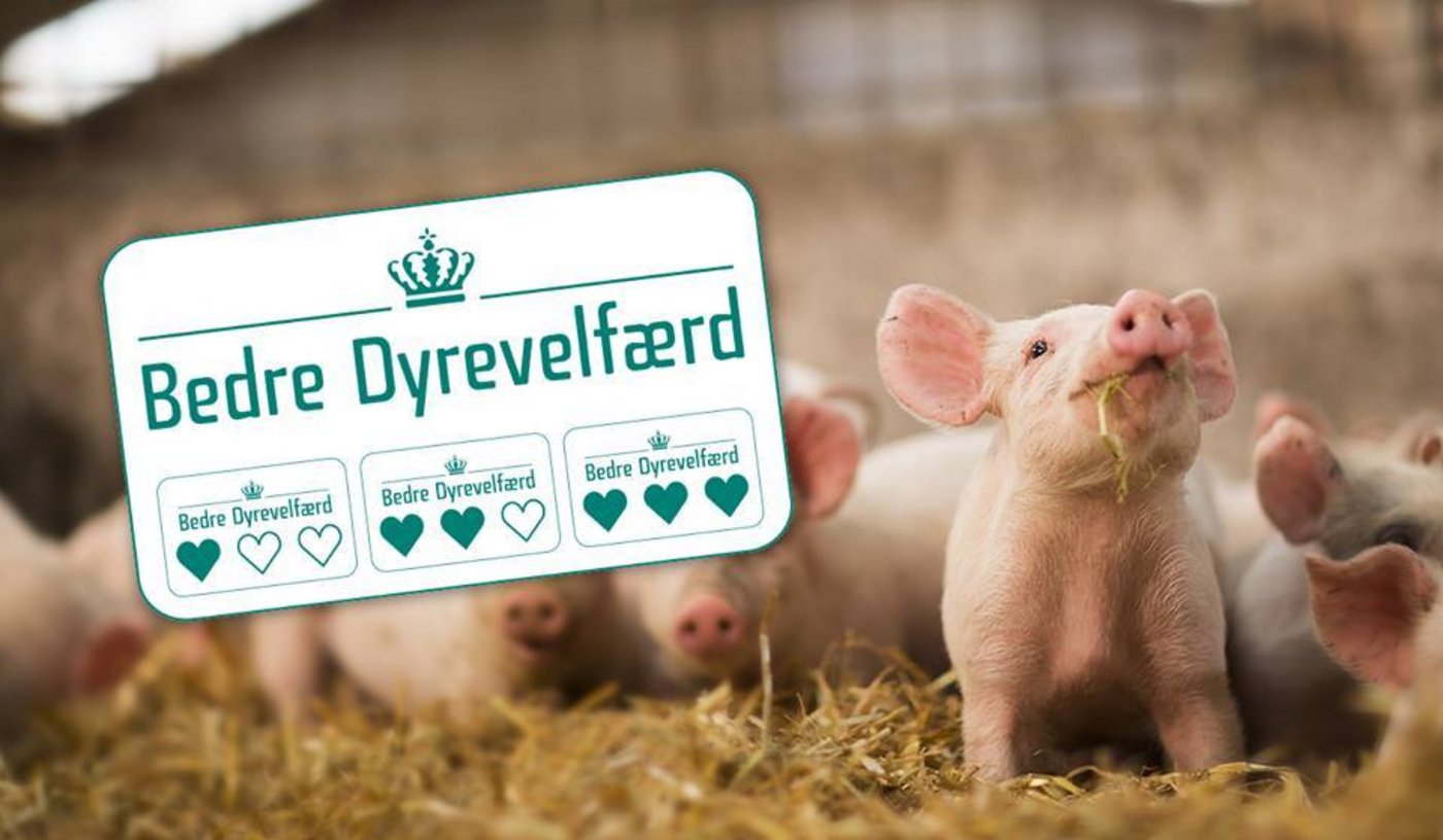 Das staatliche Siegel informiert nach Angaben des Kopenhagener Landwirtschaftsministeriums Käufer mit ein, zwei oder drei grünen Herzen über die Haltungsbedingungen für die Tiere, deren Produkte sie kaufen. (Bild Facebook Sammen om Bedre Dyrevelfærd)