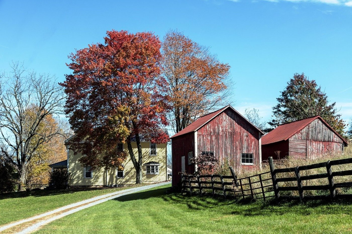 Amerikanische Landwirte werden für die Folgen der Handelsbarrieren finanziell entschädigt. (Symbolbild Pixabay)