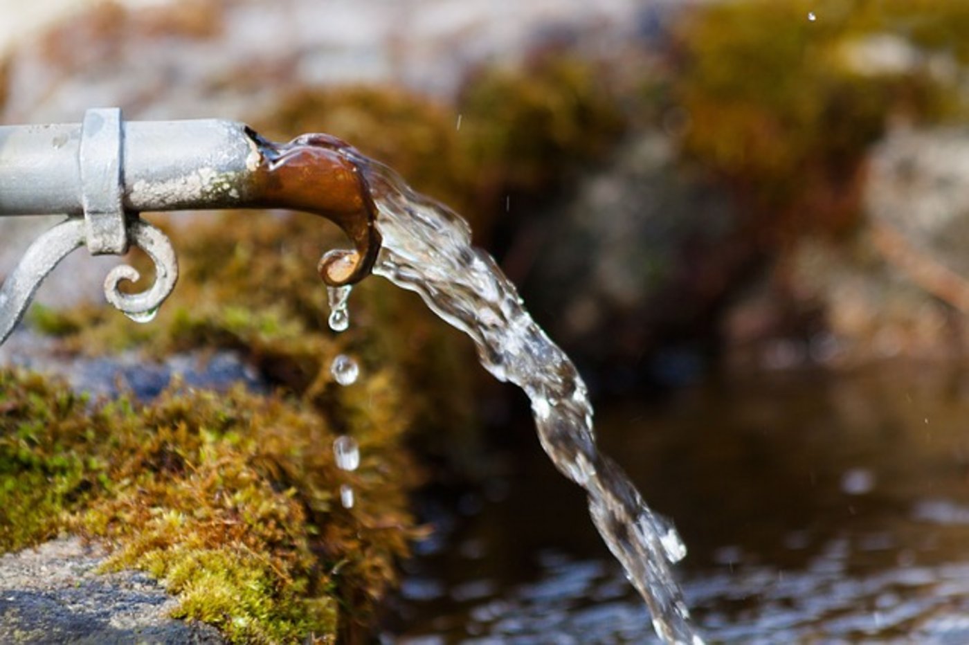 Von den Initiativen könnten laut ProNatura Landwirtschaft und Umwelt profitieren. (Bild Pixabay)