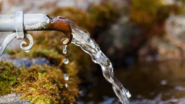 Von den Initiativen könnten laut ProNatura Landwirtschaft und Umwelt profitieren. (Bild Pixabay)