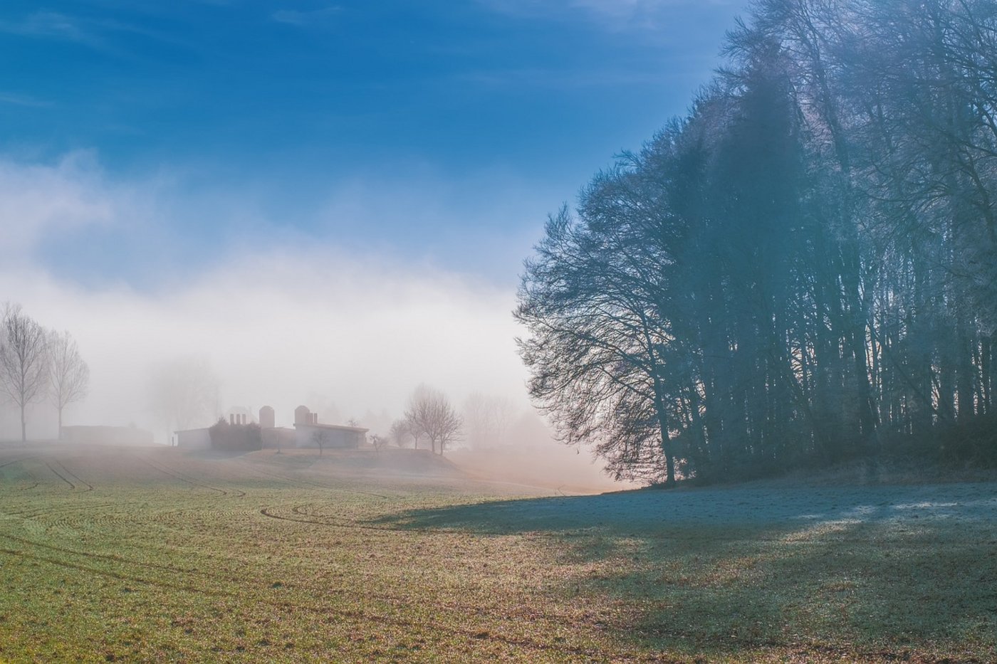 Nebel gab es im Januar 2020 nur selten. (Bild Pixabay)