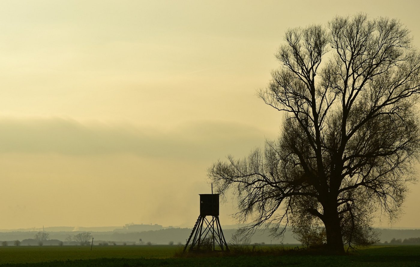 Die Umweltverbände wollen die neue Revision rasch voran treiben. (Bild Pixabay)