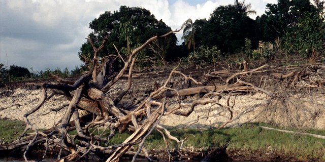 In der Kritik stehen vor allem die Abholzung und Waldbrände im Amazonasgebiet. (Bild Pixabay)