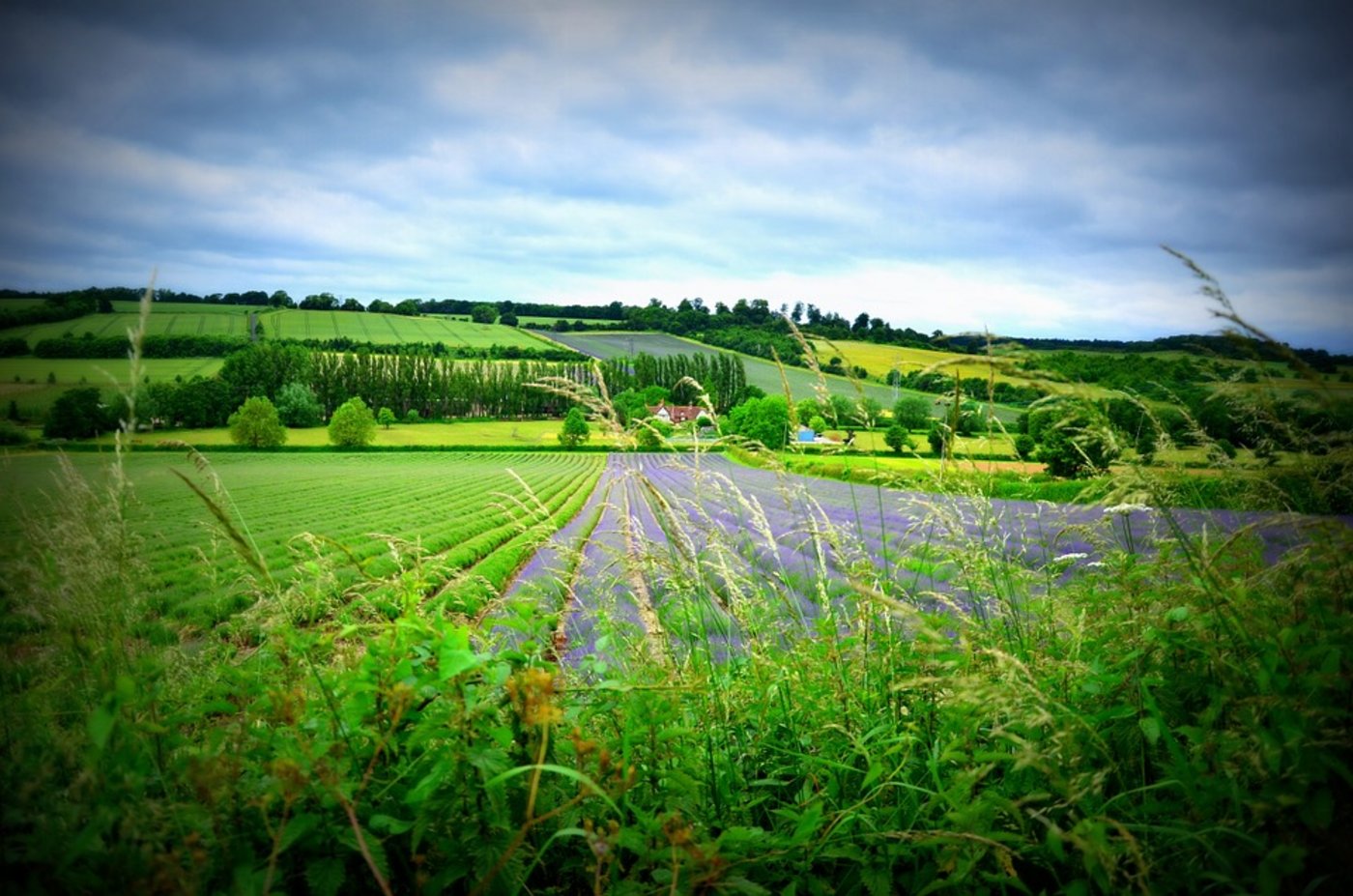 Äcker in England. (Bild Pixabay)
