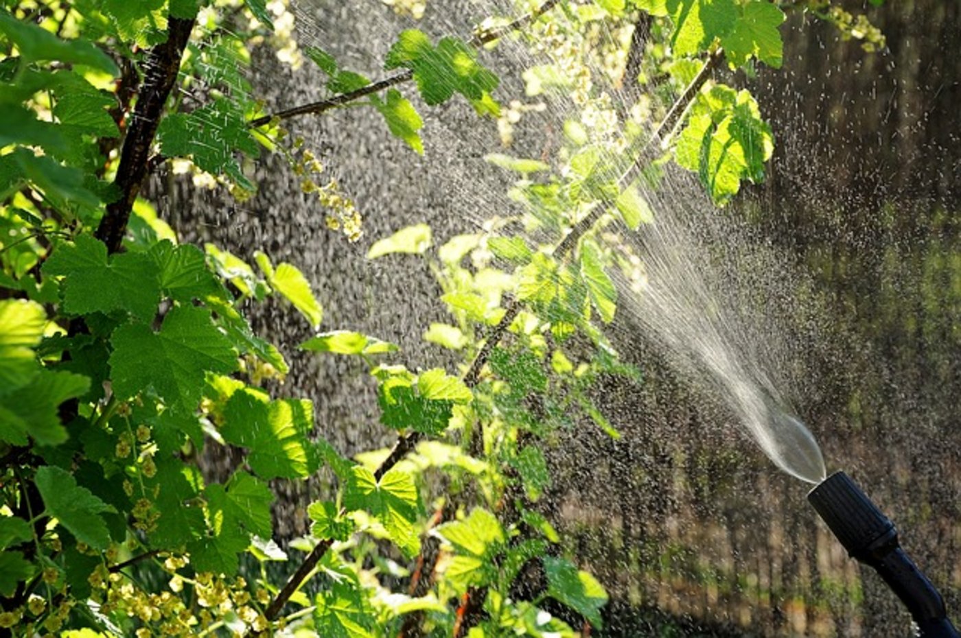 Wird die Trinkwasserinitiative angenommen, müsste die Schweiz mehr importieren, so Agrar. (Bild pixabay)