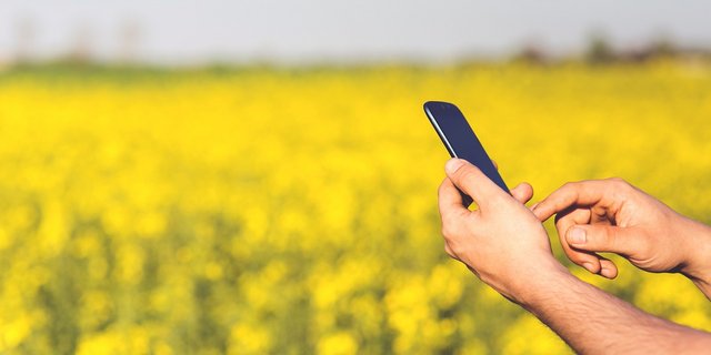 Kritiker sagen, die neue Mobilfunkgeneration sei der Schweizer Bevölkerung undemokratisch aufgezwungen worden. (Bild Pixabay)