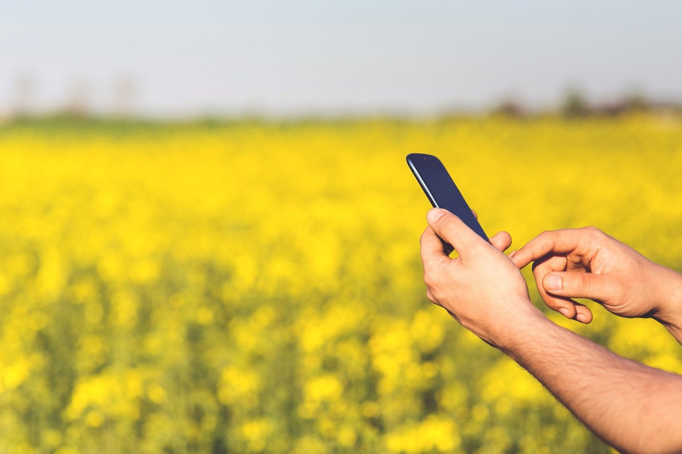 Kritiker sagen, die neue Mobilfunkgeneration sei der Schweizer Bevölkerung undemokratisch aufgezwungen worden. (Bild Pixabay)