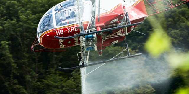 Vor allem wenn PSM mit Helikoptern oder Drohnen ausgebracht werden, besteht ein grosses Risiko für Abdrift. (Bild Ephraim Bieri/Greenpeace)
