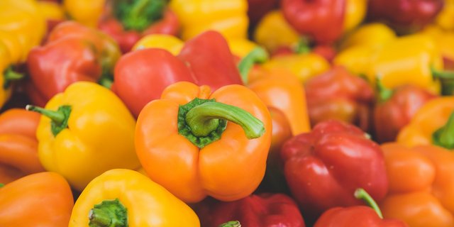 In der Schweiz als Bio verkauftes Gemüse und andere Produkte aus dem Ausland sollen von schlecht behandelten Arbeitern gepflegt und geerntet worden sein. (Symbolbild Pixabay) 