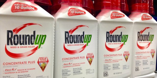 Roundup-Produkte enthalten den Wirkstoff Glyphosat enthalten. (Bild Mike Mozart)