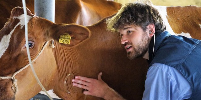 Tierärzte setzen alles daran, um die Ausbreitung der Resistenz gegen Antibiotika zu verhindern. (Bild lid)