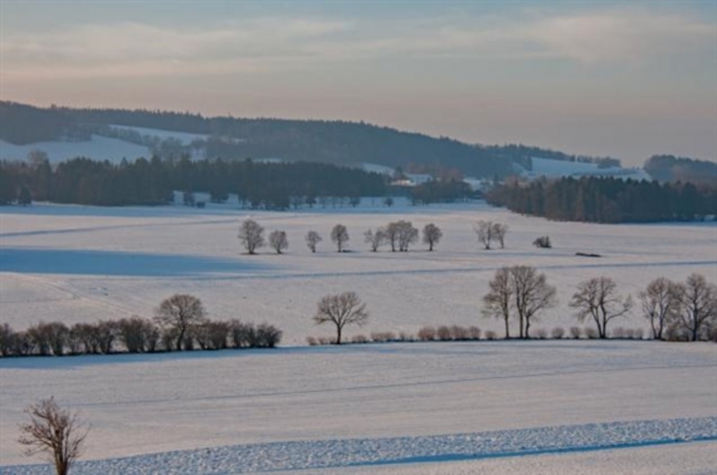 Klicken Sie sich durch die Bildergalerie der meist gelesenen Geschichten 2017: Platz 1: Eine aussergewöhnlich grosse Fläche suchte im Februar im Berner Jura einen neuen Bewirtschafter, nämlich ganze 140 Hektaren. (Bild «Bieler Tagblatt») 
