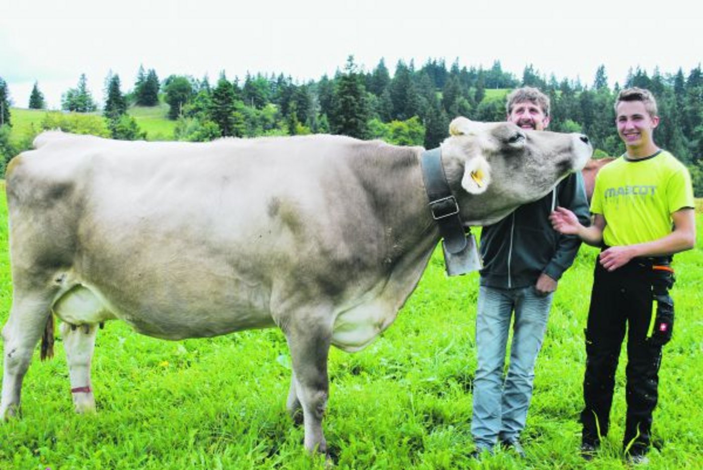 Alfred Schmidig und sein Sohn Christian mit ihrer kapitalen Ausnahmekuh Jongleur Avena. (Bilder Peter Fankhauser)