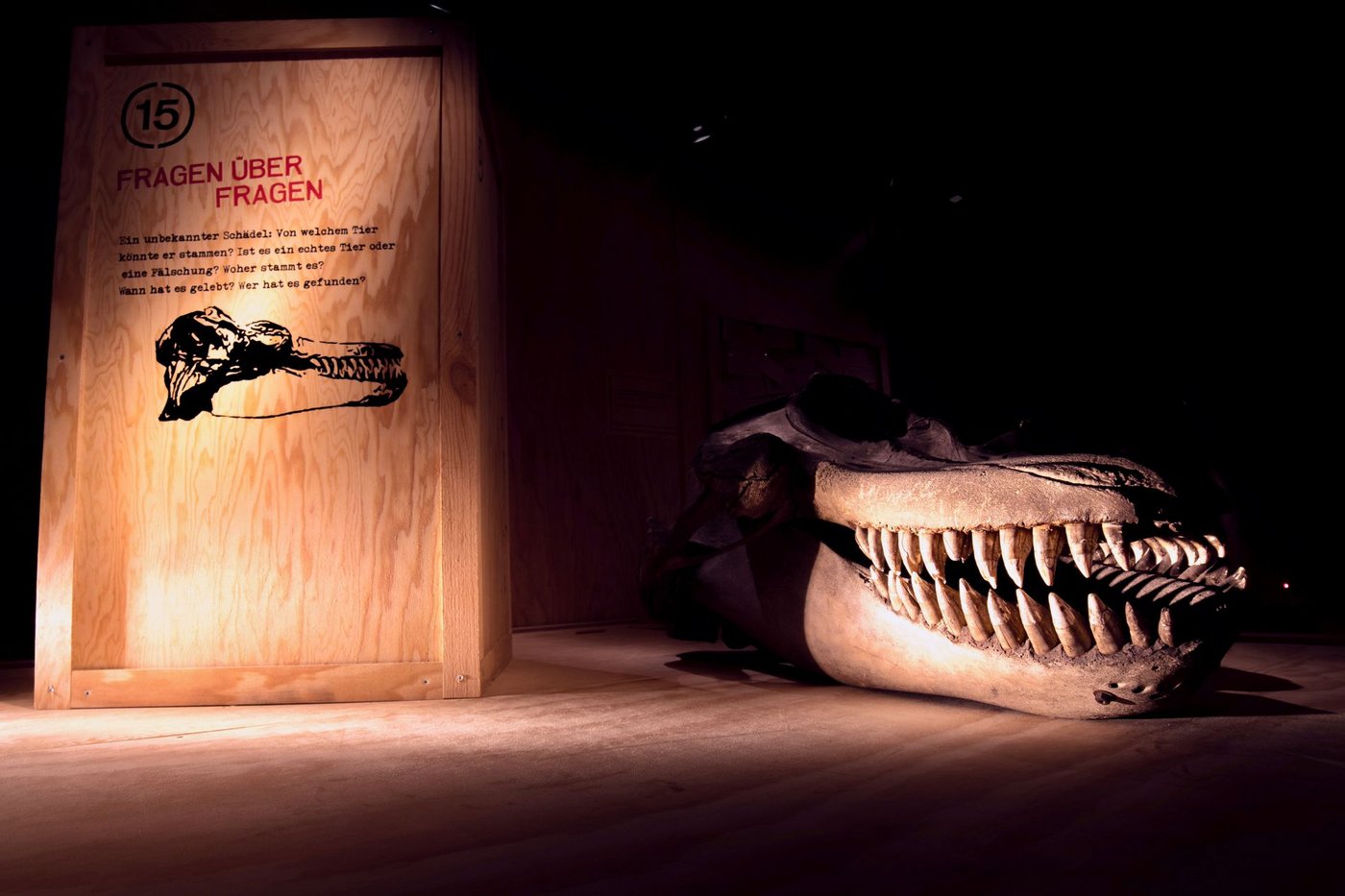 Sonderausstellung «FRAGILE» des Naturamas Aargau (Bild Naturama/Oliver Teil)