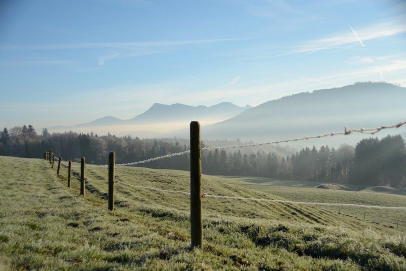 Der Morgen brachte mit der Sonne wieder etwas Wärme, die starke Bise macht es aber derzeit ungemütlich draussen. (Symbolbild BauZ)