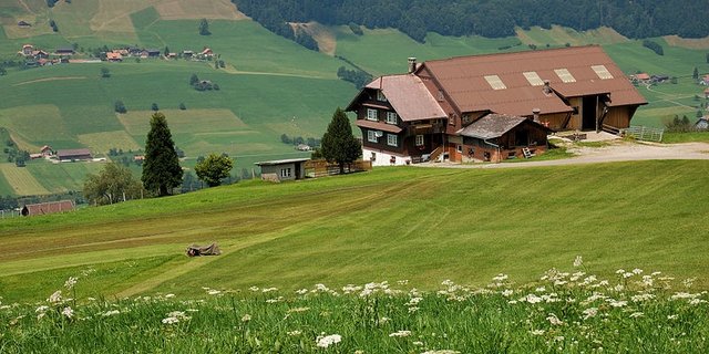 Flächenmässig wachsen Betriebsgemeinschaften zwar, ihre Zahl aber nimmt ab. (Bild Simon Koopmann)
