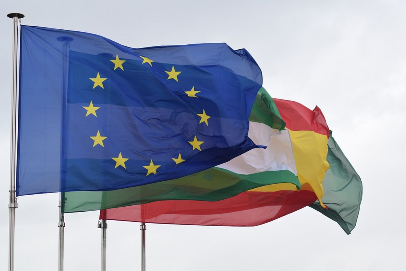Eine Sprecherin der EU-Kommission hatte am Dienstag jegliche Kenntnis von Fipronil-Eiern in Belgien vor dem 20. Juli verneint. (Symbolbild Pixabay)