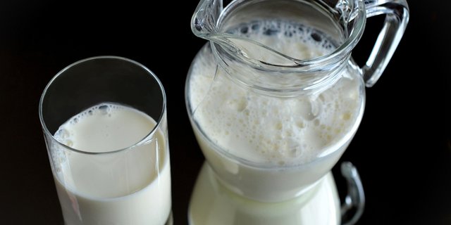 Der Milchexport ist wichtig für die neuseeländische Landwirtschaft. (Bild zVg)