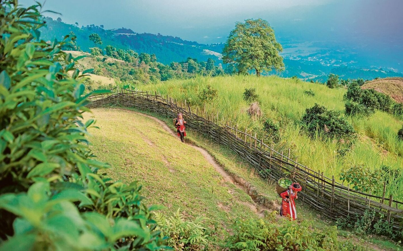 Landrechte für ethnische Minderheiten in Vietnam sichern. Daran arbeitet Helvetas von Juni 2020 bis Mai 2023.