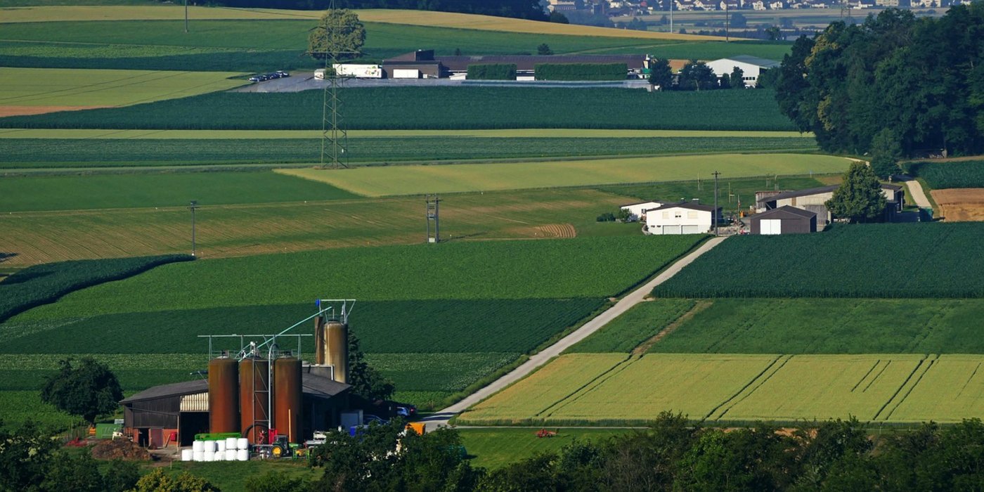 Der Schweizer Acker- und Futterbau hat heuer gelitten. (Symbolbild Pixabay)