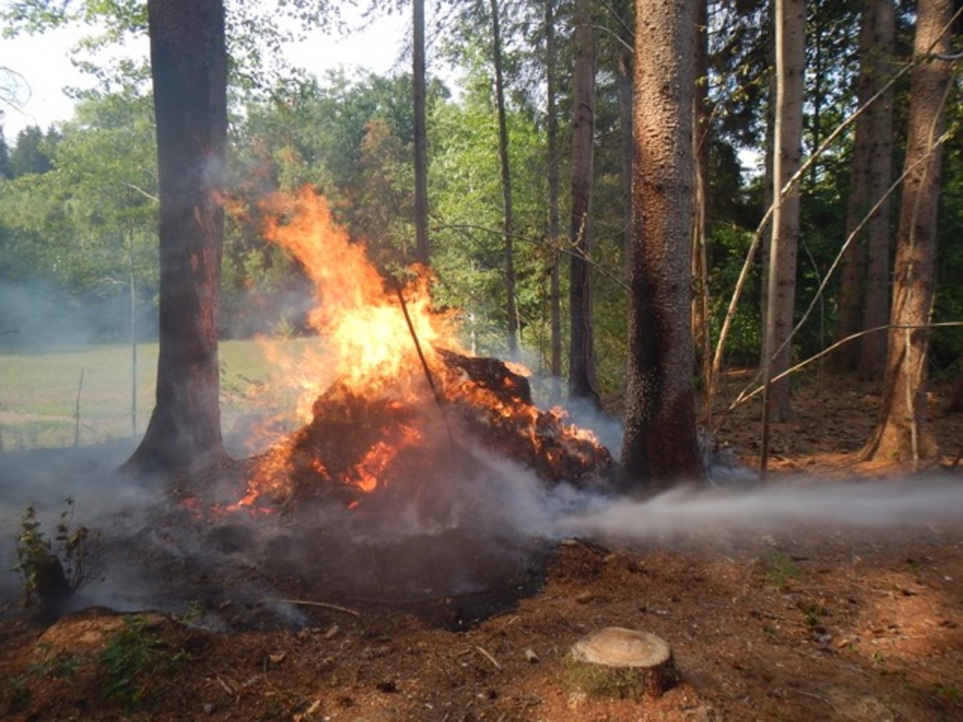 Der brennende Asthaufen im Wald bei Heimenhofen konnte rasch gelöscht werden. (Bild Kapo Thurgau)